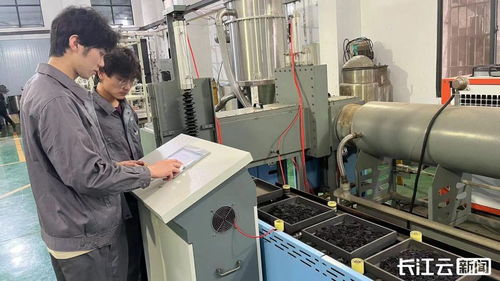 從水稻中提取半導體材料 武漢科研團隊的技術突破
